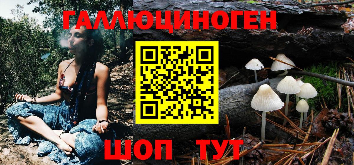 Псилоцибиновые грибы Psilocybe  Вход с VPN  Галлюциногенные грибы прущие грибы  Усть-Илимск 