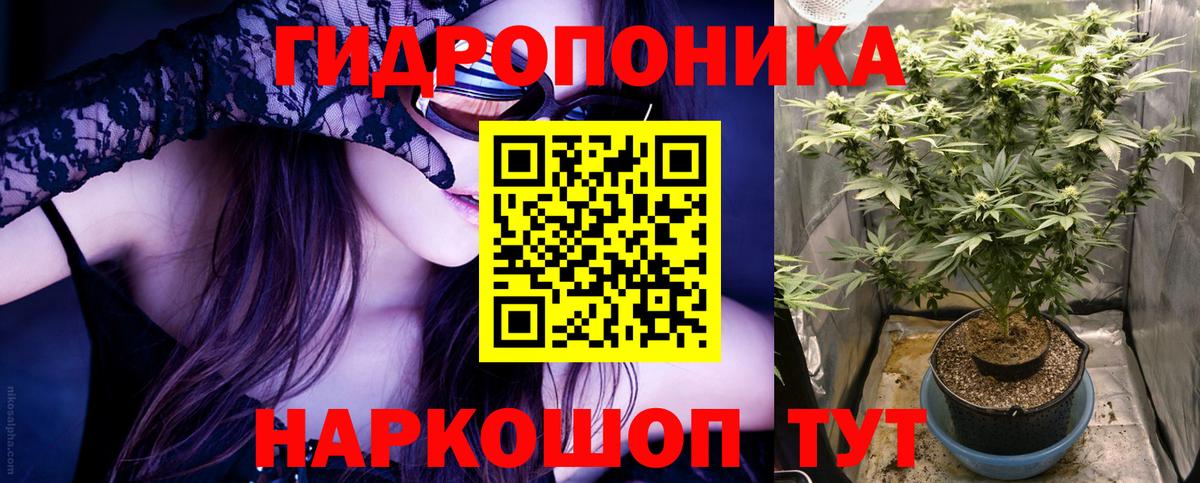 Бошки Шишки сатива Усть-Илимск